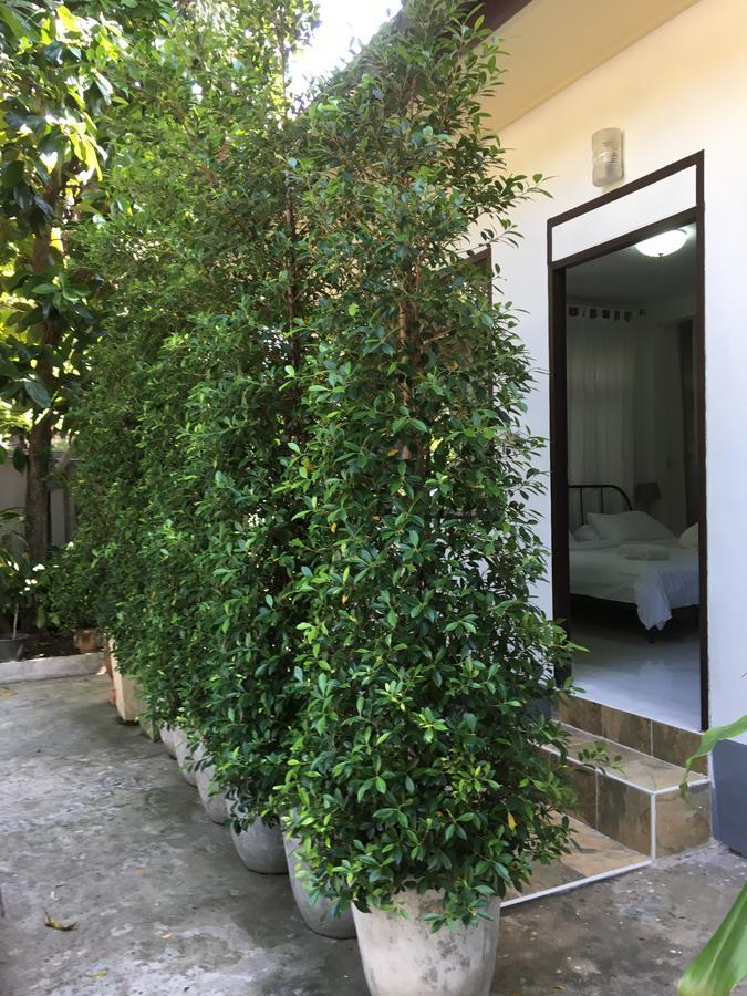 Many Trees Apartment Банкок Екстериор снимка